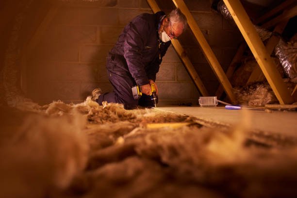 Best Crawl Space Insulation  in Warrenvle, IL